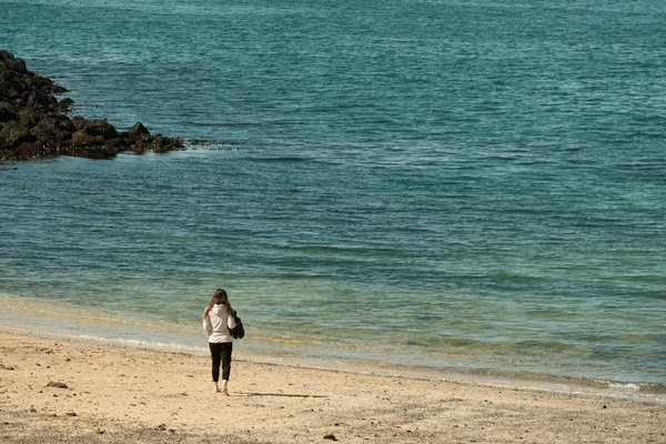 Découvrez les Livres Incontournables pour Débuter Votre Aventure en Régime Cétogène