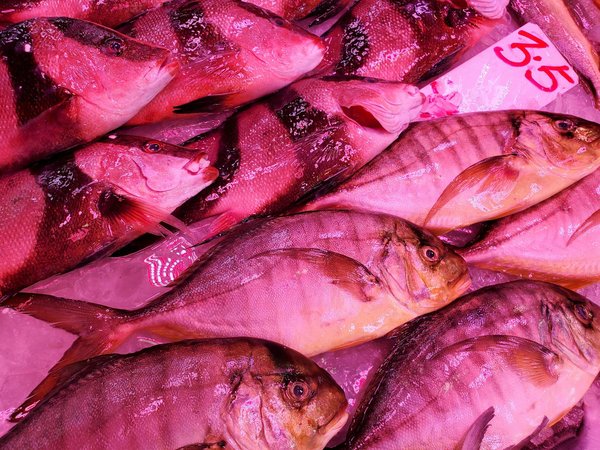 Épopées Quotidiennes d'un Aide-Soignant aux Urgences : Immersion dans le Vif du Sujet